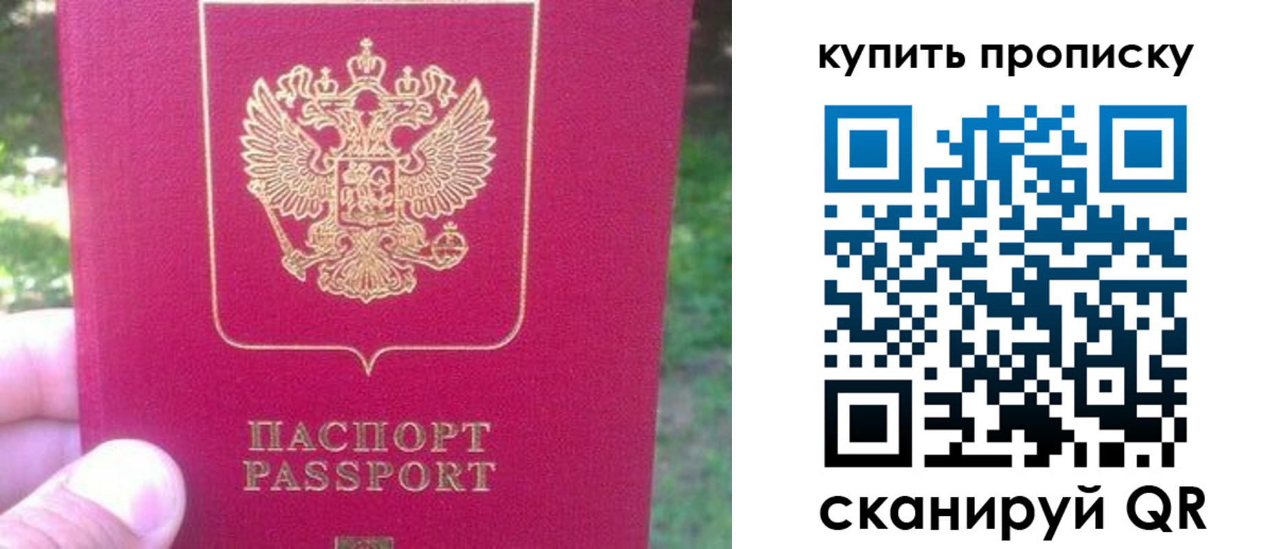 временная регистрация для школы в Торопеце